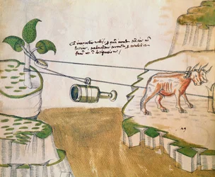 Ochsen ziehen eine Seilwinde, Illustration aus De Machinis